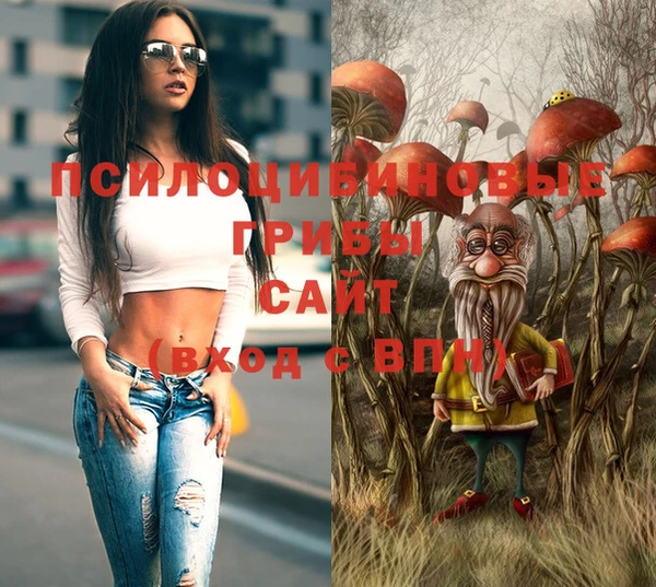 эйфоретик Приозерск