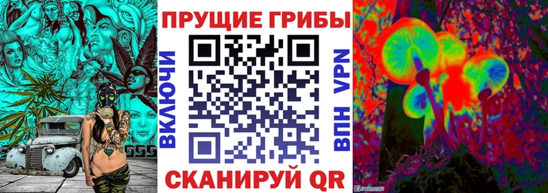 Псилоцибиновые грибы GOLDEN TEACHER  даркнет сайт  Глазов 